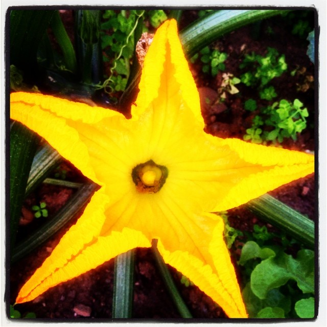 10549741_1498275240389651_1012698476_n