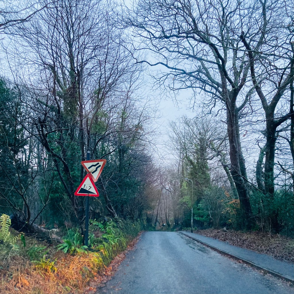 A road sign at the top of a wintry lane