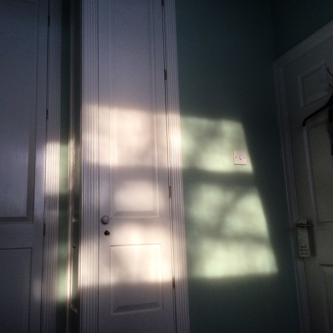 17780FA7-E03A-4555-96C9-AA37735C8331