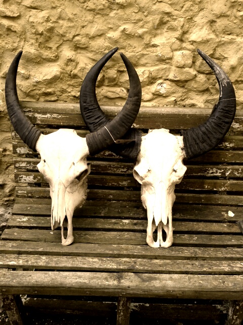 ColorTouch-1336257572157