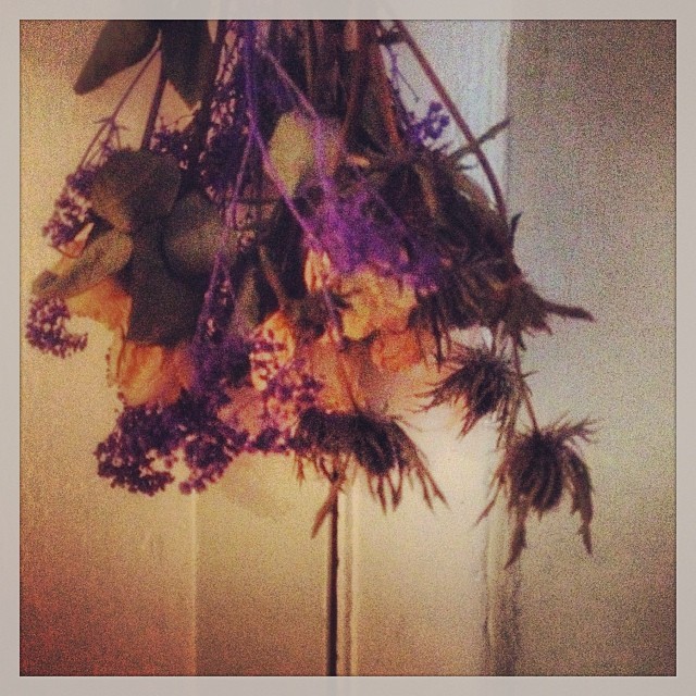 893e97b282ae11e3a0e20e2682207b63_8