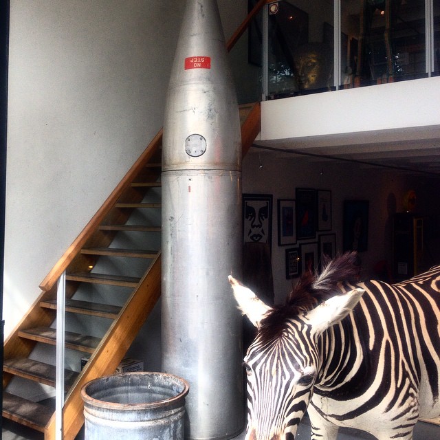 10623978_772701732782489_236979699_n