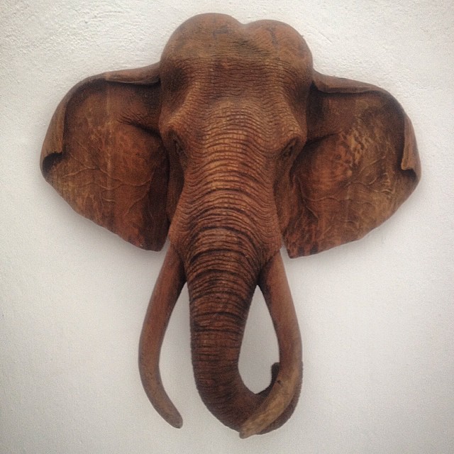 10838803_863923110295251_618569482_n