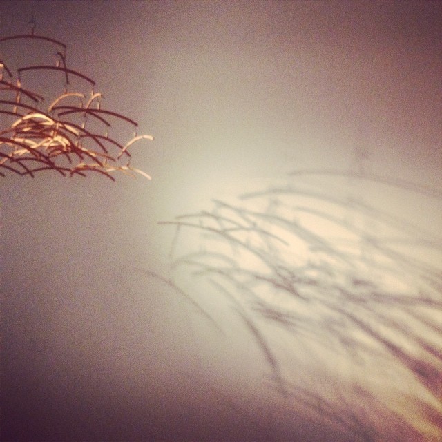 1724179_374585009371957_1105717413_n