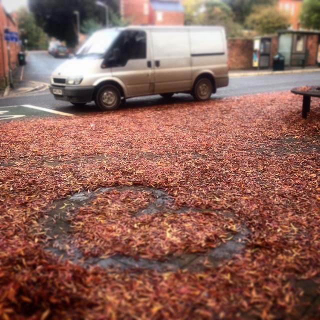 10731443_371270053027478_1976483893_n