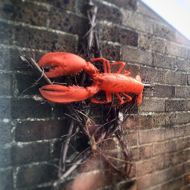 10986096_552105438226100_1962609537_n