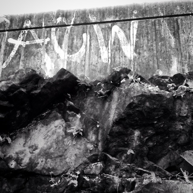 10865024_827883473935921_1392834127_n