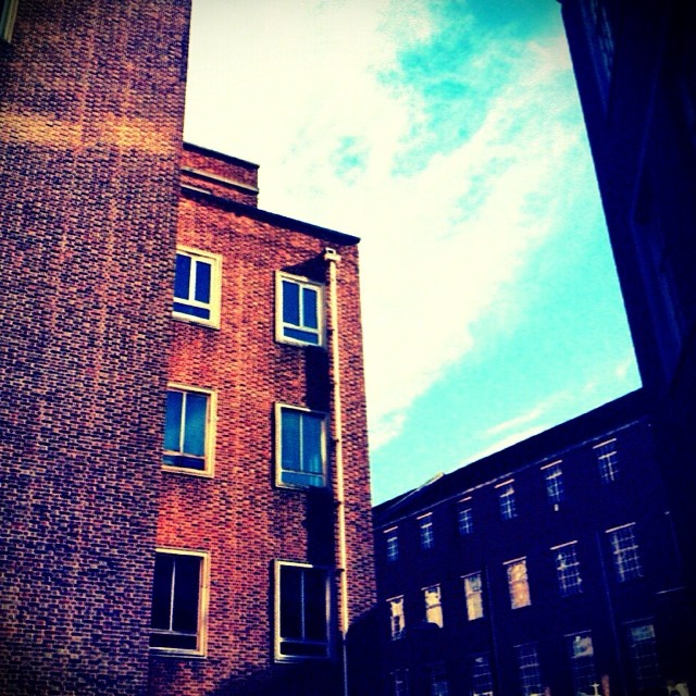 10544266_406344292837693_2139227482_n