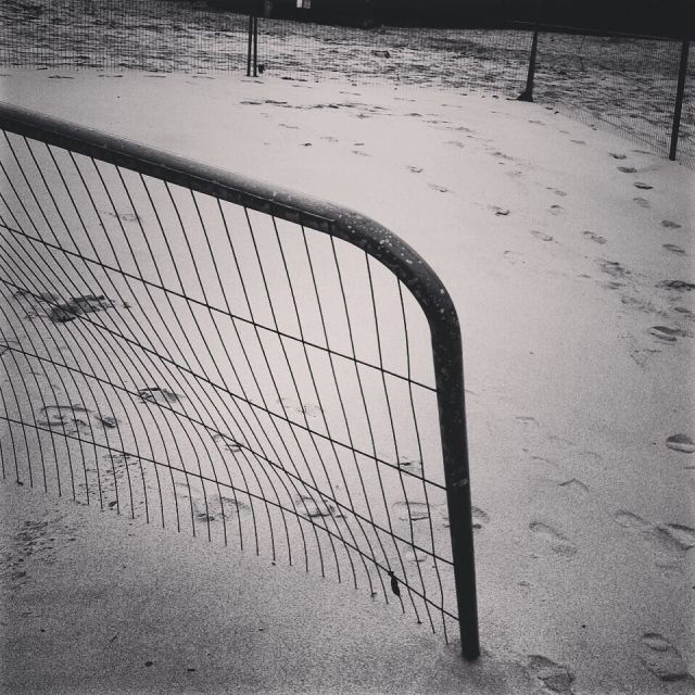 11262660_970888829634087_945174816_n