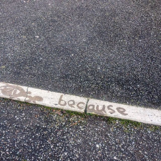 12301131_1037185036333943_2049625379_n