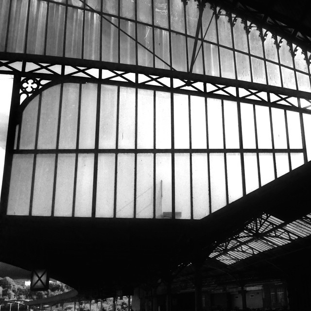 10514050_1460148037582701_1268605319_n