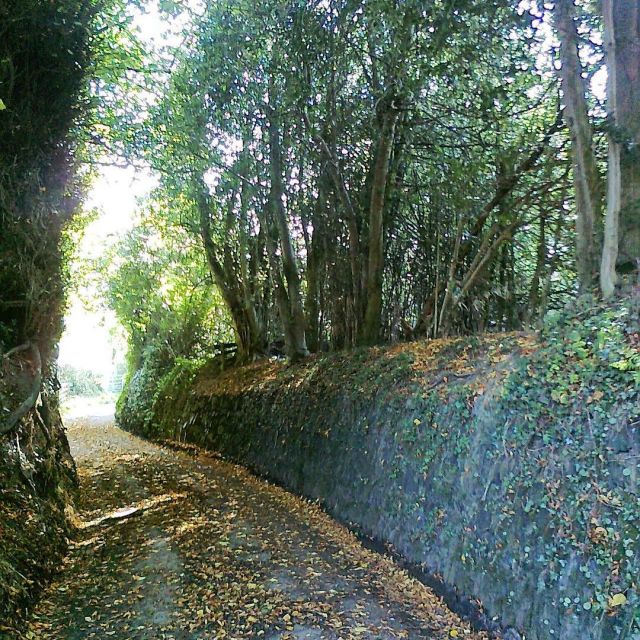 917823_530733513767370_1858540679_n