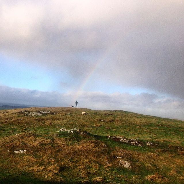 12353248_104989293211560_276032524_n