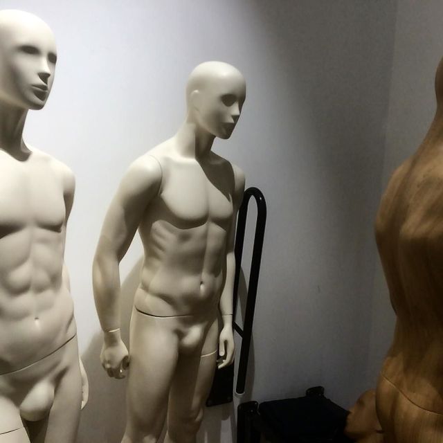 12940668_256161551396243_458760874_n