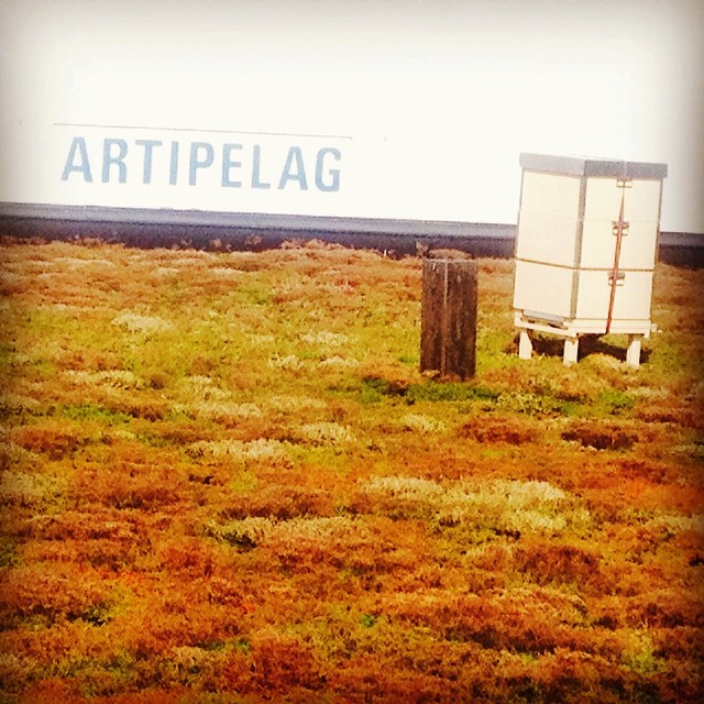 10617110_361082644039077_1852810578_n