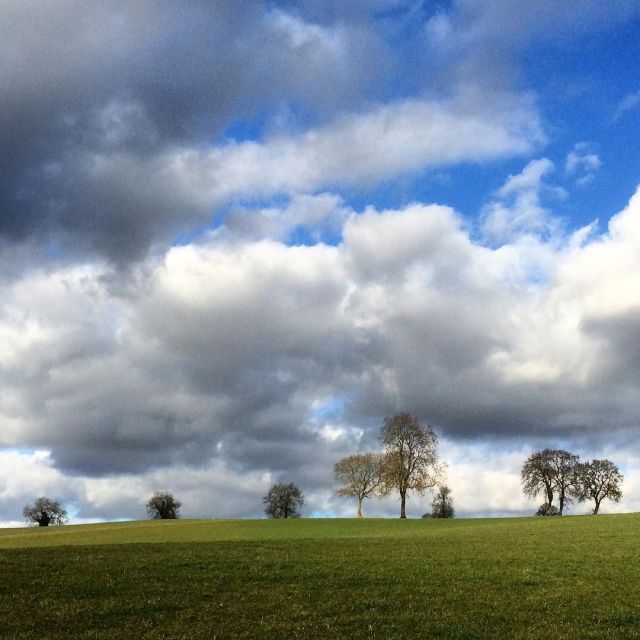 12716509_577458879069253_667483787_n