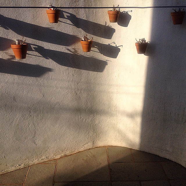 10890801_826667290727856_1479262071_n