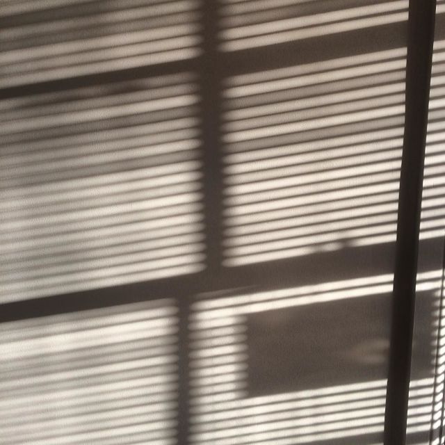 14515856_1734142243575631_365518501621792768_n