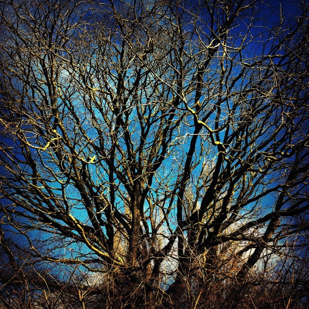 01dd5ea0385b6470208411542cc824d1be07a1b71b