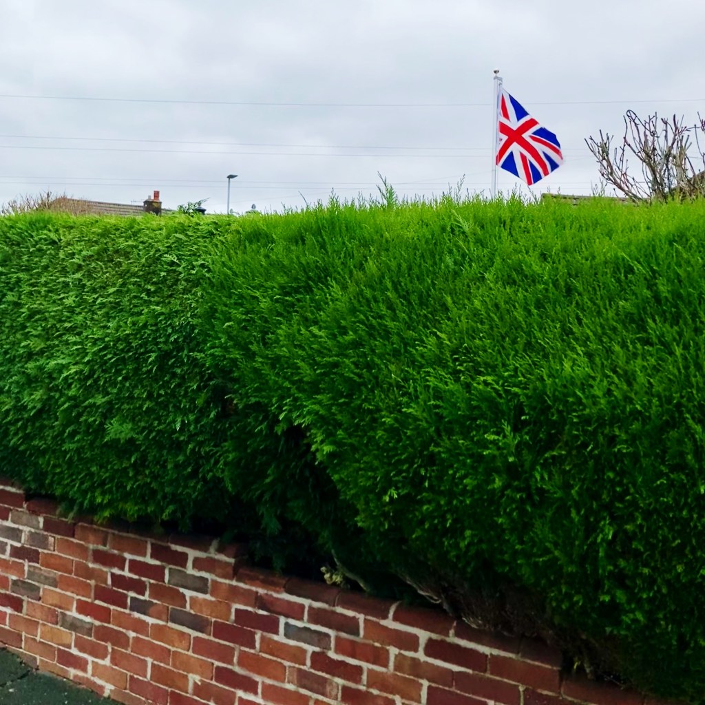 A Union Flag flutters in the breeze above a front garden hedge and wall