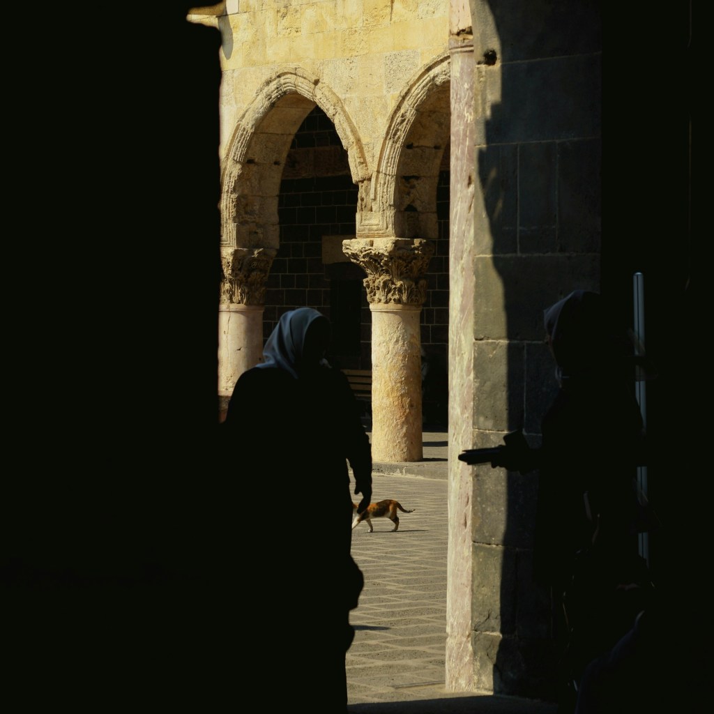 Two women in shadow, framed by arches in bright sunshine