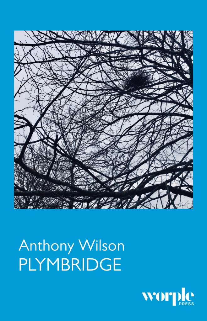The front cover of Plymbridge by Anthony Wilson